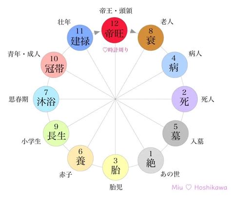 長生十二運|四柱推命の十二運星「長生」の意味とは？性格・適職・恋愛を解。